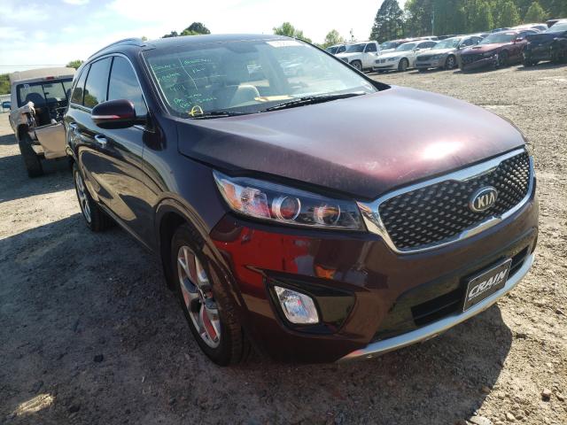 KIA SORENTO SX 2017 with VIN 5XYPK4A59HG307988 - Photo from auction