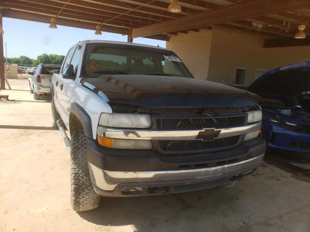 CHEVROLET SILVERADO 2002 with VIN 1GCHK23172F113831 - Photo from auction