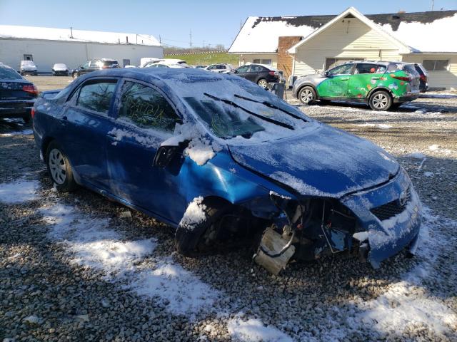 TOYOTA COROLLA BA 2010 with VIN 2T1BU4EE1AC411388 - Photo from auction