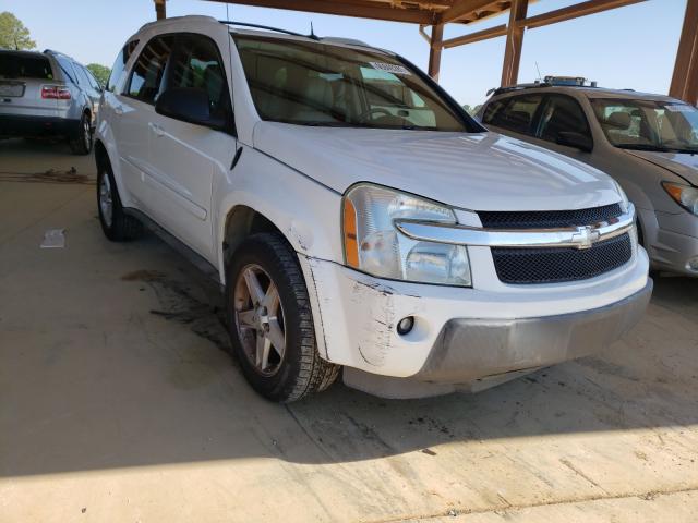 CHEVROLET EQUINOX LT 2005 with VIN 2CNDL73F156004750 - Photo from auction