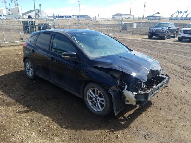 FORD FOCUS SE 2016 with VIN 1FADP3K21GL200431 - Photo from auction