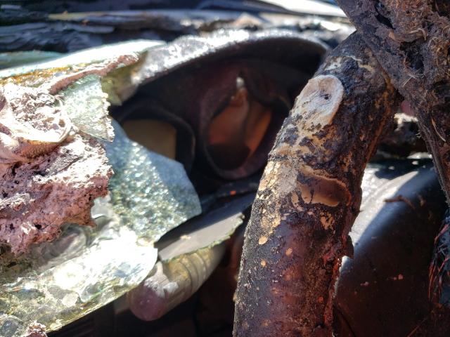 Foto 8 de la subasta – 2008 DODGE CALIBER R/ con VIN 1B3HB78K38D605406