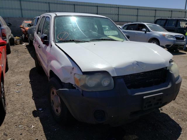 FORD ESCAPE XLS 2007 with VIN 1FMYU02Z57KC04208 - Photo from auction