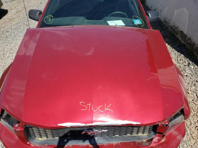 Photo 7 from auction – 2006 FORD MUSTANG with VIN 1ZVFT80N465156997