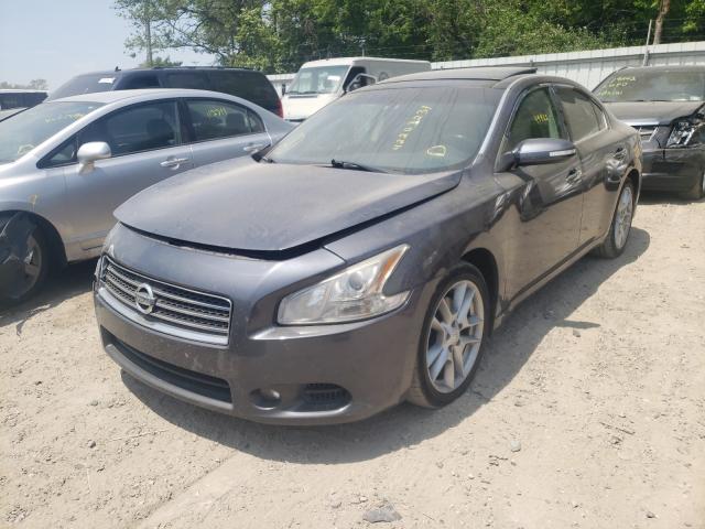 Photo 2 from auction – 2010 NISSAN MAXIMA S with VIN 1N4AA5AP1AC847027