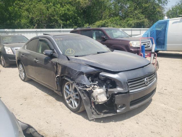NISSAN MAXIMA S 2010 with VIN 1N4AA5AP1AC847027 - Photo from auction