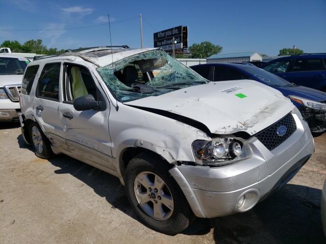 FORD ESCAPE XLT 2007 with VIN 1FMCU03107KA20796 - Photo from auction