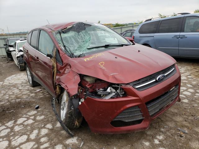 FORD ESCAPE SE 2014 with VIN 1FMCU0GX4EUA05119 - Photo from auction