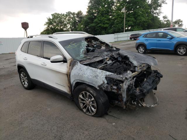 JEEP CHEROKEE L 2019 with VIN 1C4PJMLB9KD181949 - Photo from auction