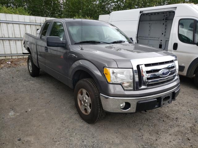 FORD F150 SUPER 2010 with VIN 1FTFX1EV6AFD34631 - Photo from auction