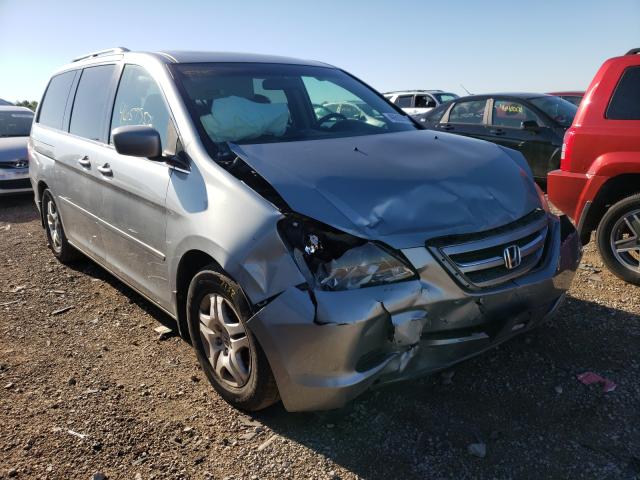 HONDA ODYSSEY 2007 with VIN 5FNRL38787B058838 - Photo from auction