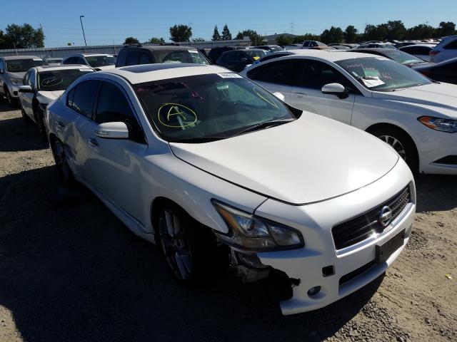 NISSAN MAXIMA S 2011 with VIN 1N4AA5AP9BC860500 - Photo from auction
