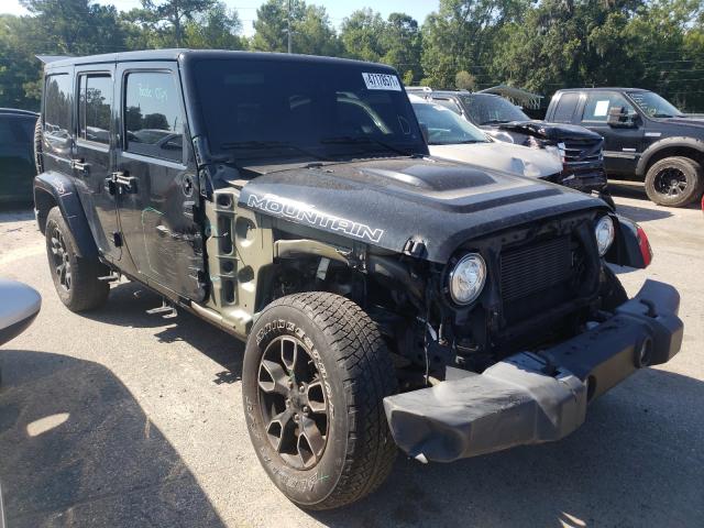 JEEP WRANGLER 2017 with VIN 1C4BJWEG9HL667075 - Photo from auction