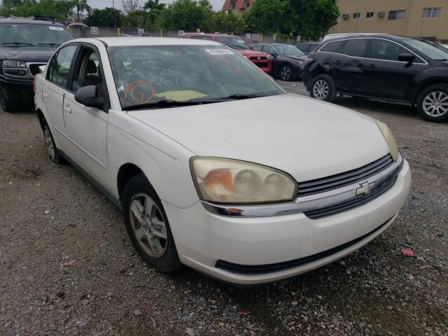 CHEVROLET MALIBU 2005 with VIN 1G1ZT52875F244126 - Photo from auction