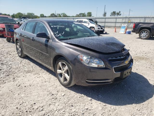 CHEVROLET MALIBU 1LT 2011 with VIN 1G1ZC5E12BF174223 - Photo from auction