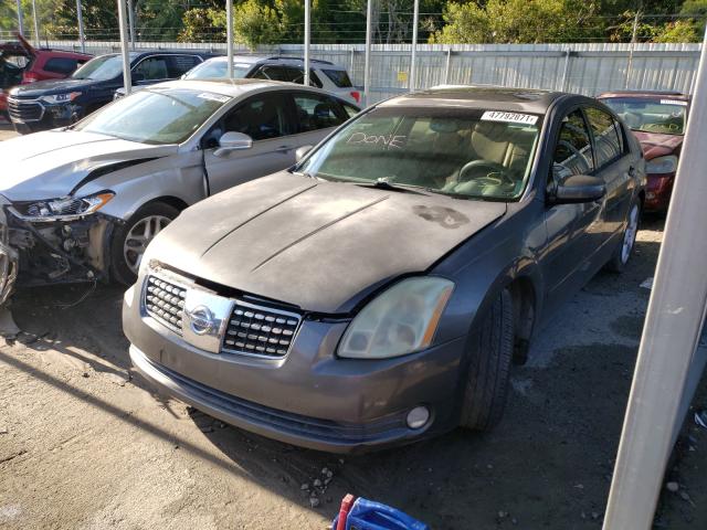 Photo 2 from auction – 2005 NISSAN MAXIMA SE with VIN 1N4BA41E85C851174