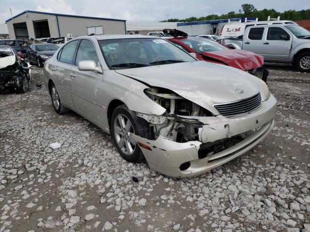 LEXUS ES 330 2005 with VIN JTHBA30G155131242 - Photo from auction