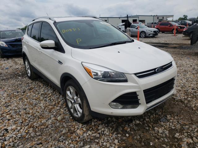 FORD ESCAPE TIT 2014 with VIN 1FMCU0J98EUB08313 - Photo from auction