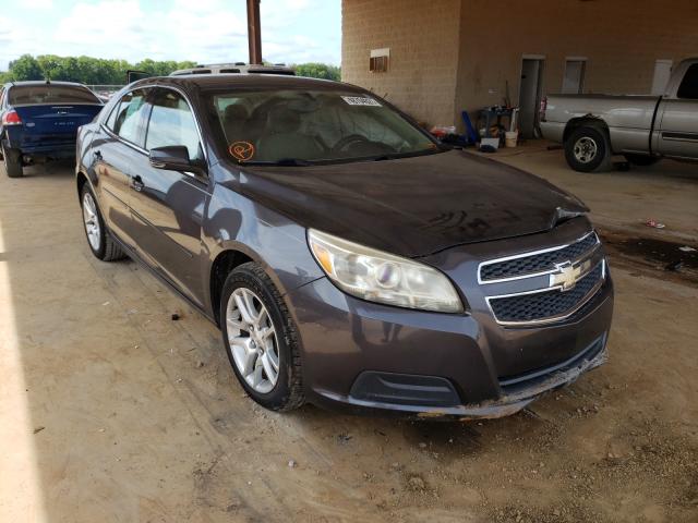 CHEVROLET MALIBU 1LT 2013 with VIN 1G11C5SA9DF196188 - Photo from auction