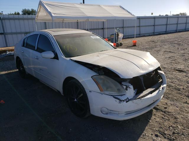 NISSAN MAXIMA SE 2005 with VIN 1N4BA41E65C805004 - Photo from auction