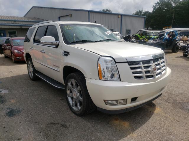 CADILLAC ESCALADE L 2012 with VIN 1GYS4BEF6CR144247 - Photo from auction