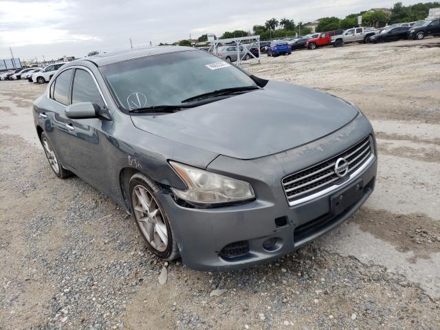 NISSAN MAXIMA S 2009 with VIN 1N4AA51E39C834659 - Photo from auction