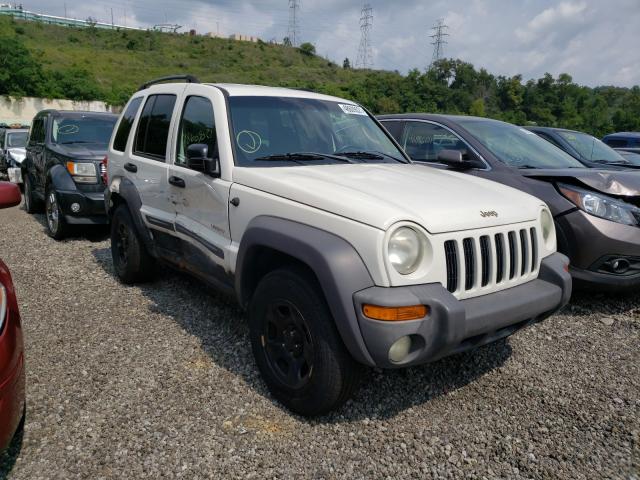 Photo 1 from auction – 2004 JEEP LIBERTY SP with VIN 1J4GL48K04W161478