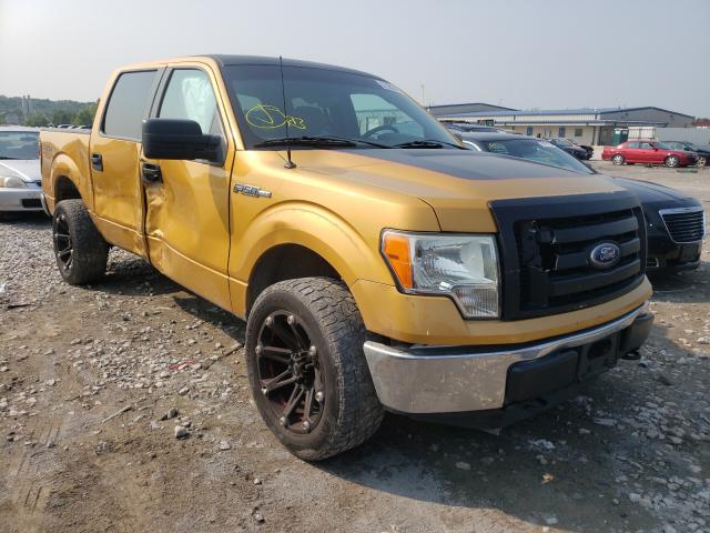FORD F150 SUPER 2009 with VIN 1FTRW14869KB16249 - Photo from auction