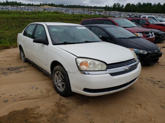 CHEVROLET MALIBU LS 2007 with VIN 1G1ZS58F27F315664 - Photo from auction