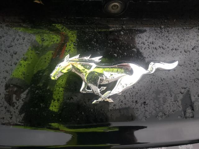 Photo 10 from auction – 2017 FORD MUSTANG with VIN 1FA6P8TH3H5289319