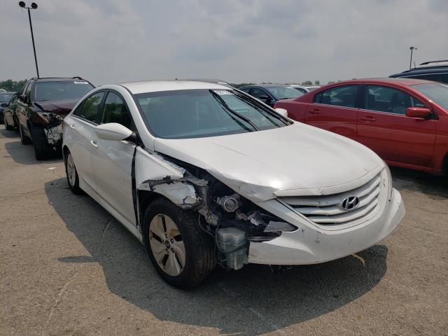HYUNDAI SONATA GLS 2014 with VIN 5NPEB4AC5EH818124 - Photo from auction