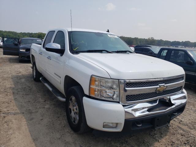 CHEVROLET SILVERADO 2011 with VIN 3GCPCSE08BG175203 - Photo from auction
