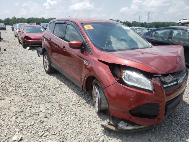 Photo 1 from auction – 2014 FORD ESCAPE SE with VIN 1FMCU0GX8EUC59125