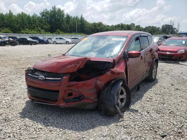 Photo 2 from auction – 2014 FORD ESCAPE SE with VIN 1FMCU0GX8EUC59125
