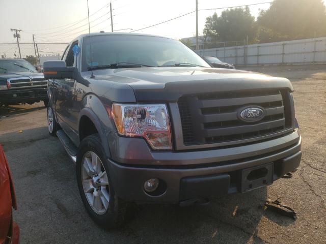 FORD F150 SUPER 2010 with VIN 1FTFX1EV1AFD07482 - Photo from auction
