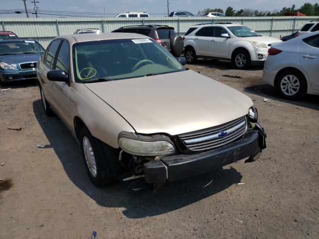 CHEVROLET MALIBU 2002 with VIN 1G1ND52J52M582680 - Photo from auction