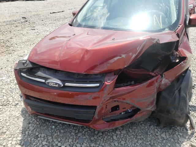Photo 9 from auction – 2014 FORD ESCAPE SE with VIN 1FMCU0GX8EUC59125