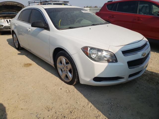 CHEVROLET MALIBU LS 2011 with VIN 1G1ZA5EU8BF132882 - Photo from auction