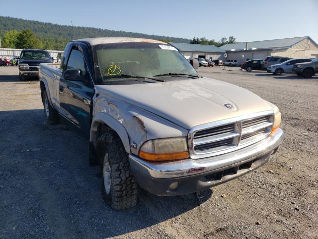 DODGE DAKOTA 1999 with VIN 1B7GG22X9XS139770 - Photo from auction