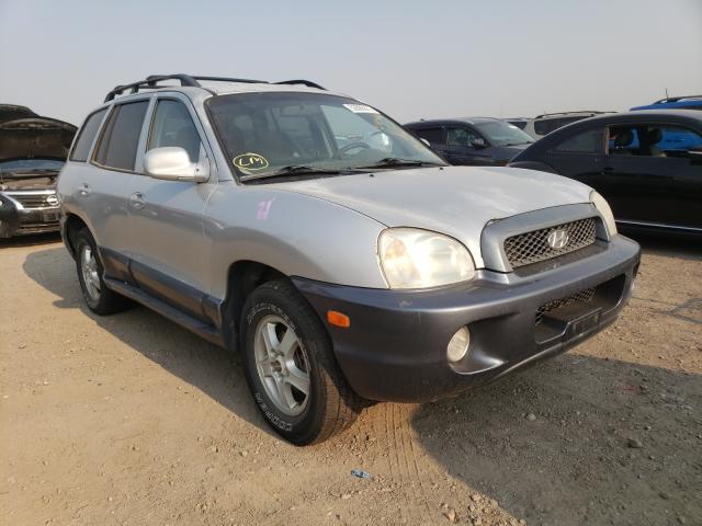 Photo 1 from auction – 2004 HYUNDAI SANTA FE G with VIN KM8SC73E04U628845