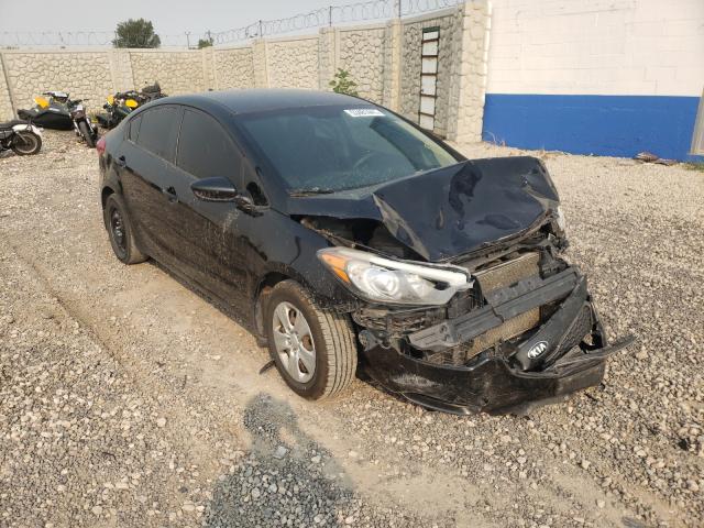 KIA FORTE LX 2014 with VIN KNAFK4A66E5163662 - Photo from auction