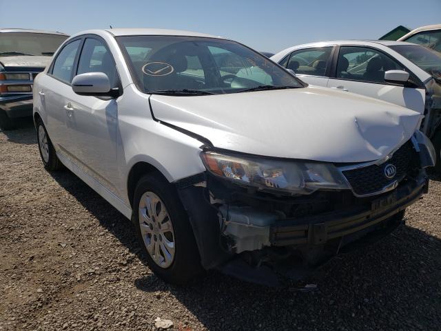 KIA FORTE 2012 with VIN KNAFU4A24C5599771 - Photo from auction
