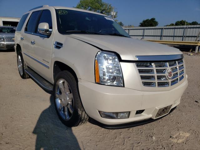 CADILLAC ESCALADE L 2010 with VIN 1GYUKBEF0AR218547 - Photo from auction