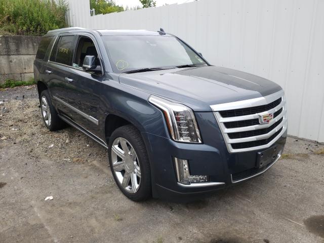 CADILLAC ESCALADE P 2019 with VIN 1GYS4CKJ1KR252160 - Photo from auction