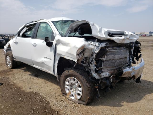 CHEVROLET SILVERADO 2021 with VIN 1GC1YNEY7MF250864 - Photo from auction
