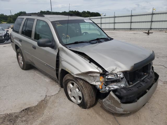 CHEVROLET TRAILBLAZE 2002 with VIN 1GNDS13S922155675 - Photo from auction