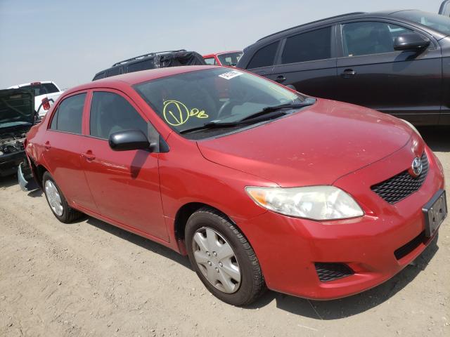 TOYOTA COROLLA BA 2009 with VIN 1NXBU40E19Z024017 - Photo from auction