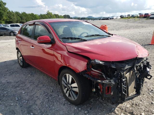 KIA FORTE EX 2013 with VIN KNAFU5A24D5664688 - Photo from auction