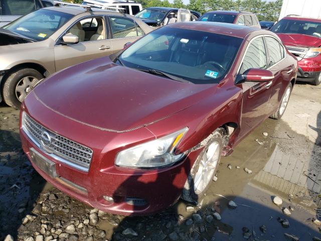 Photo 2 from auction – 2009 NISSAN MAXIMA S with VIN 1N4AA51E09C853959