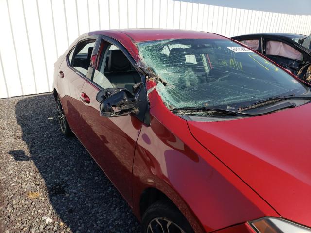 صورة رقم 9 من المزاد - 2014 TOYOTA COROLLA L مع VIN 2T1BURHE7EC046567